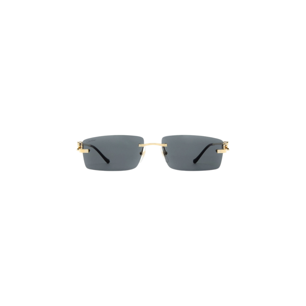 Cartier Rectangular Frame Sunglasses