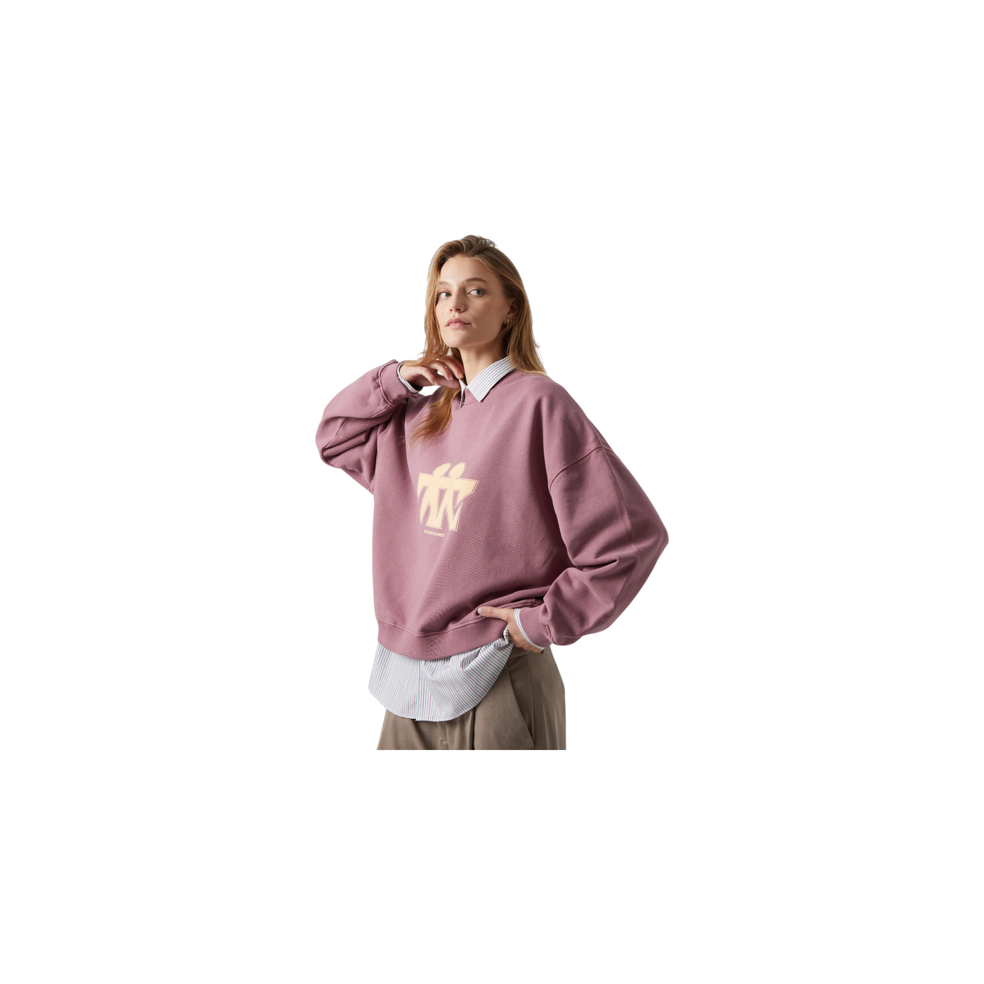 Eme Studios Mbuddy Taupe Oversized Crewneck